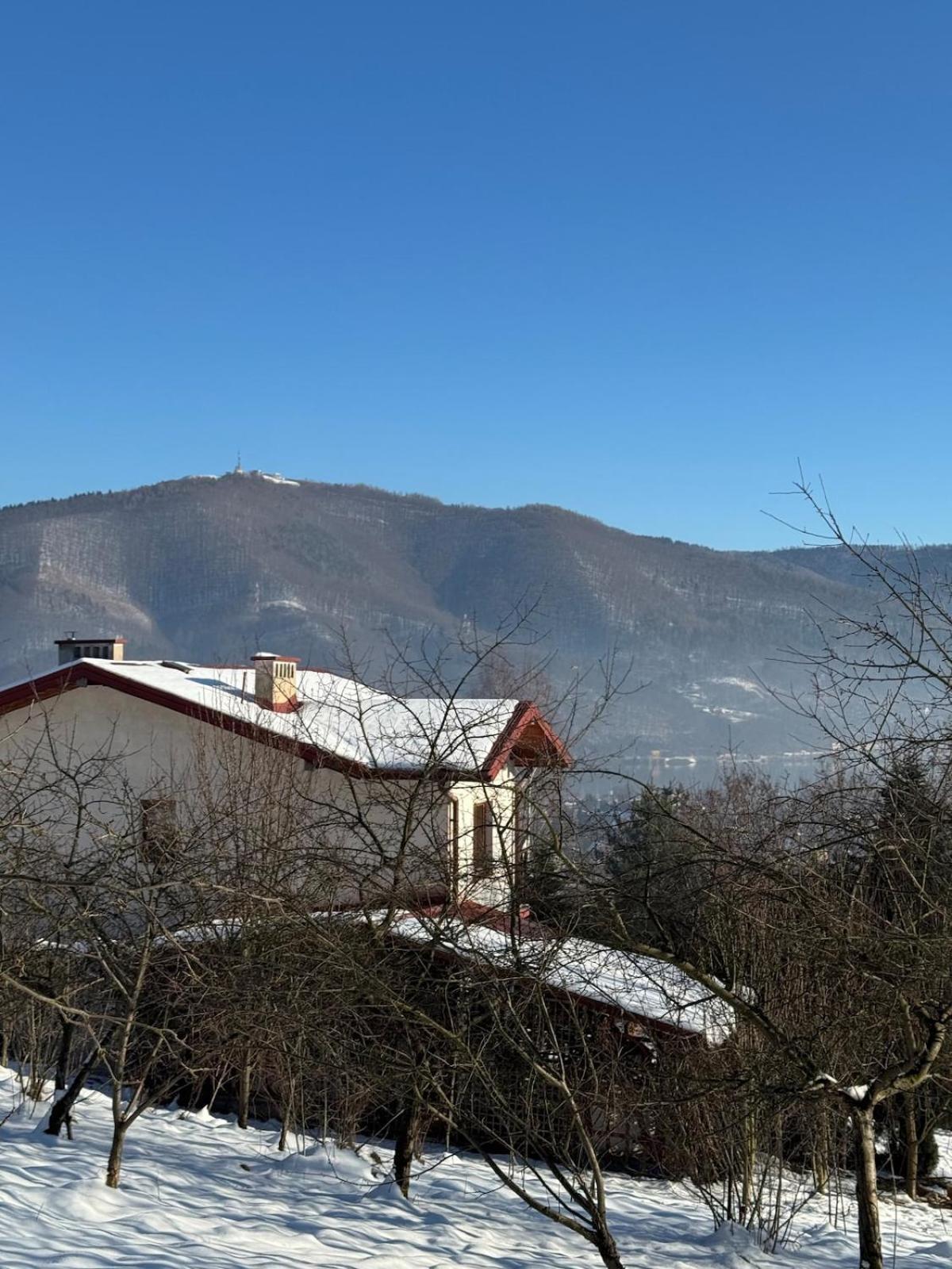 Dom W Gorach Saganowka Beskidy Villa Miedzybrodzie Bialskie Exterior photo